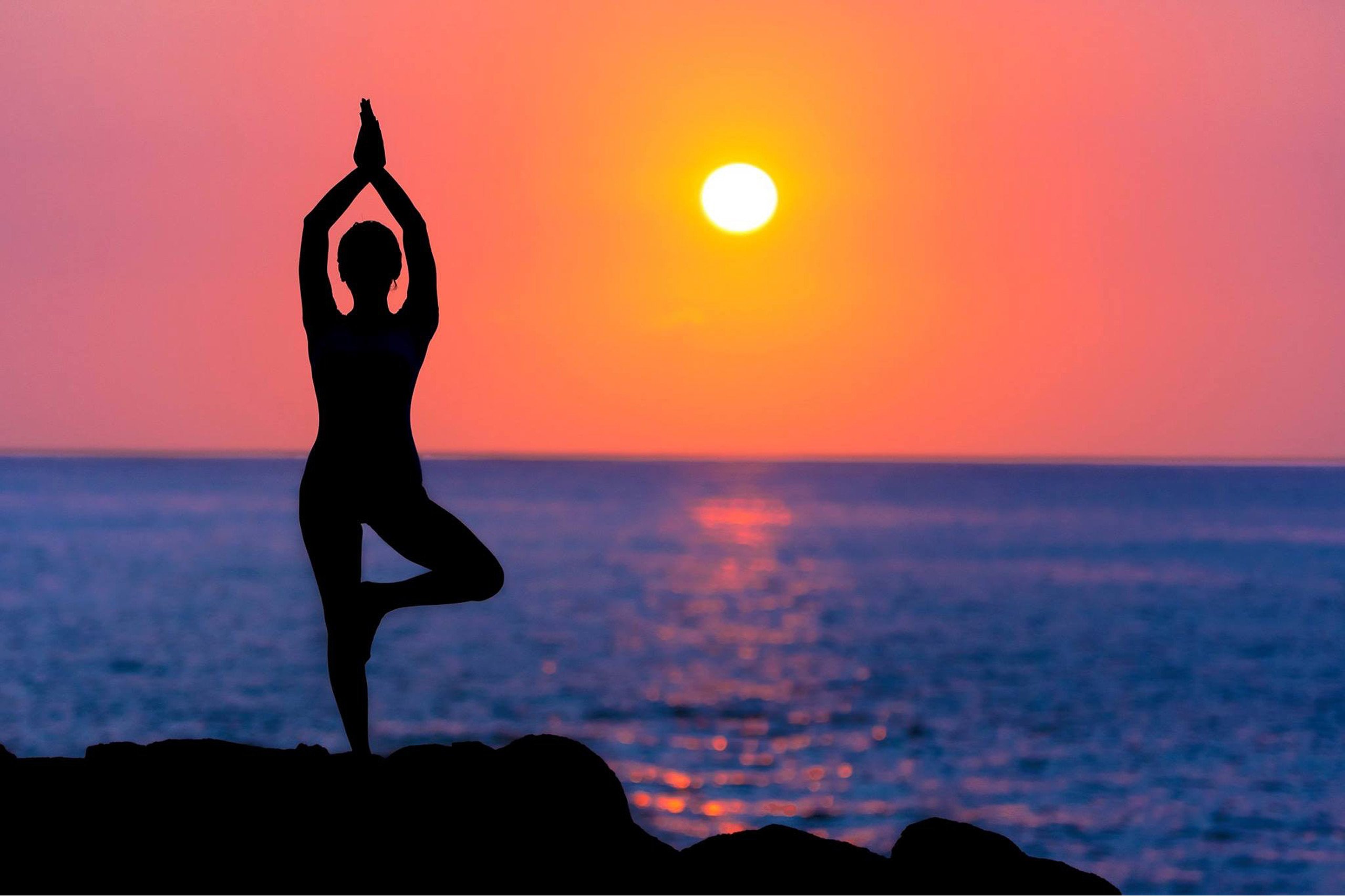 gym and yoga