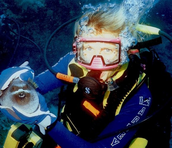 scuba scuba