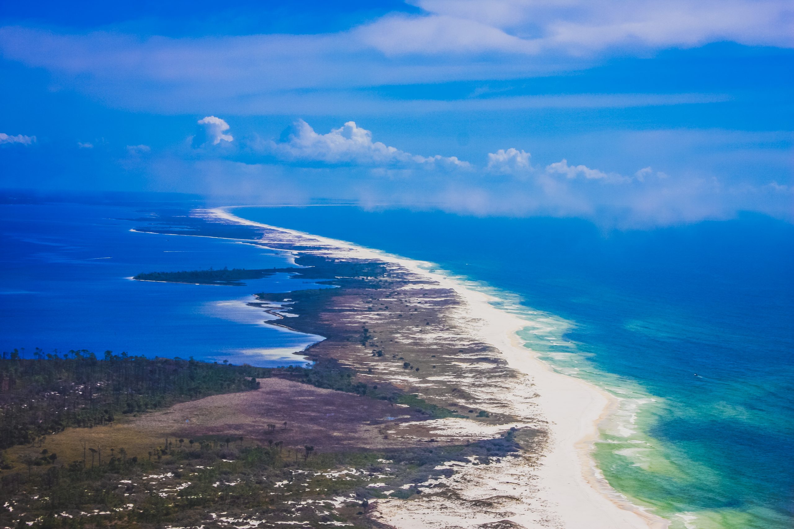 Shell Island Pineapple Realty Group