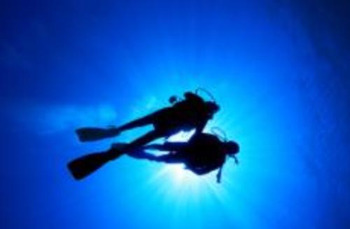Diving_wedding divers wedding