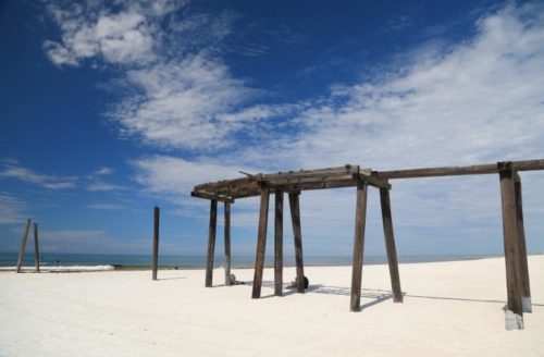 Camp Helen Pier Beaches and Parks