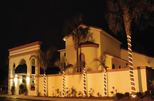 saltwater_grill saltwater grill
