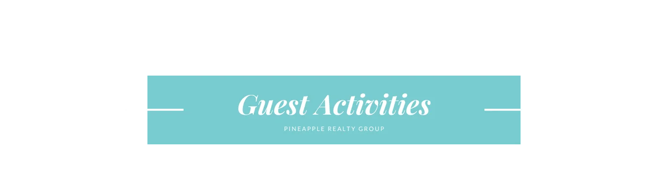 guest wedding activities